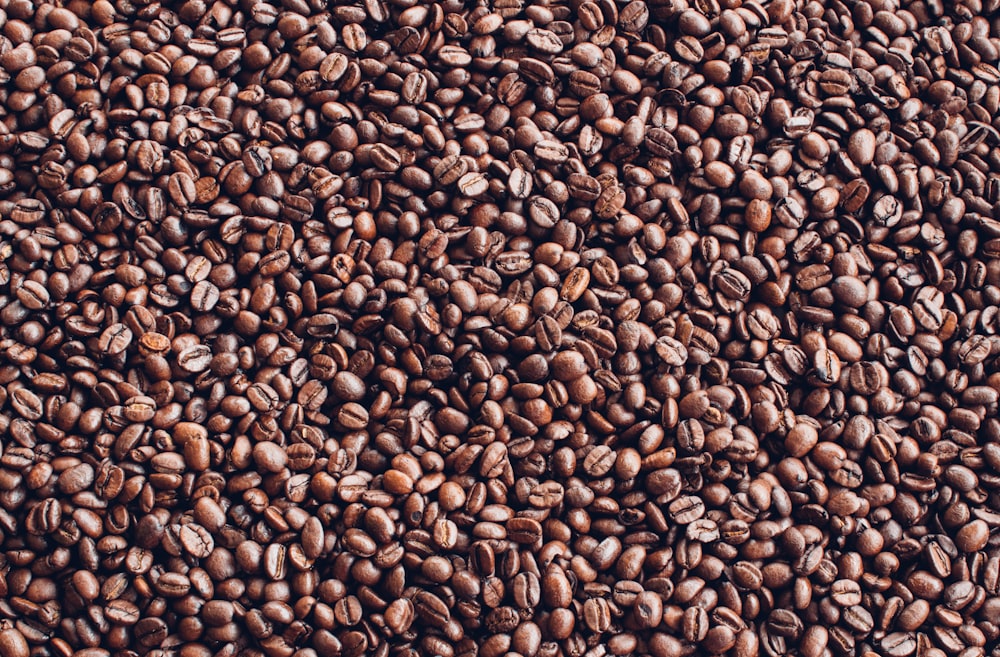 brown and black coffee beans