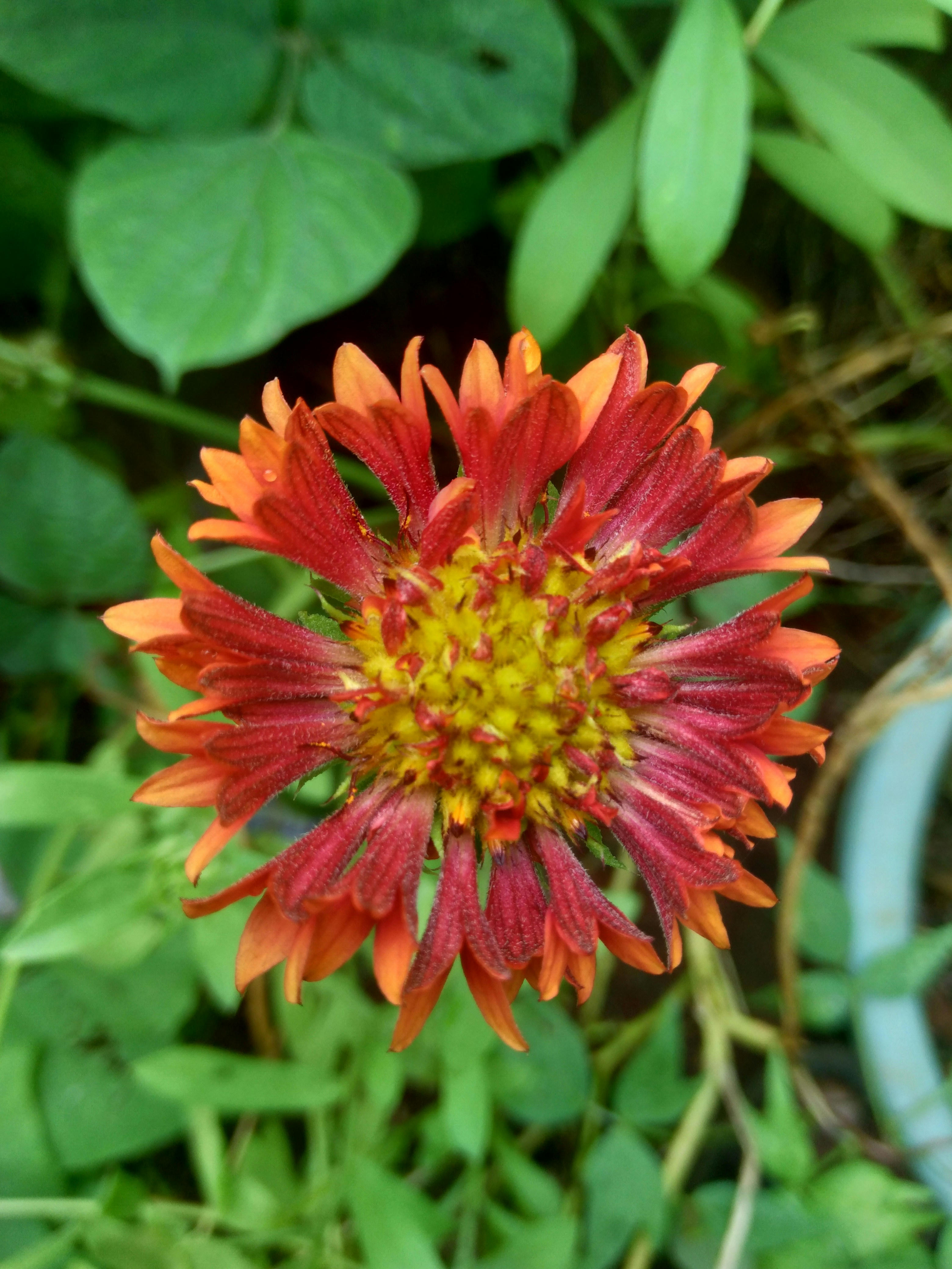 Photo by swaroopbhure