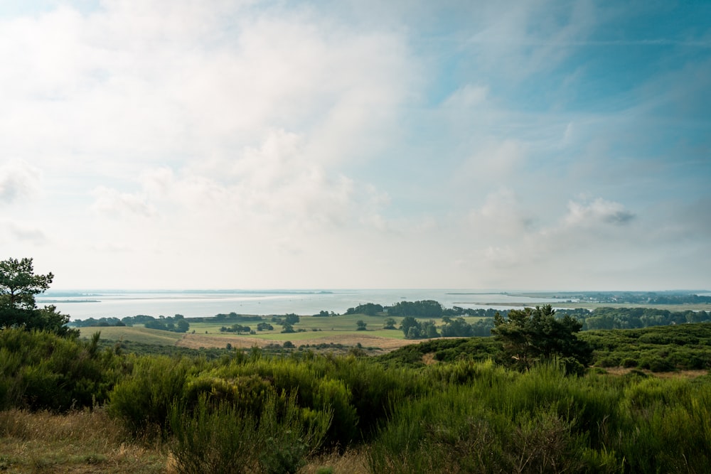 green grass field near body of water under white clouds during daytime