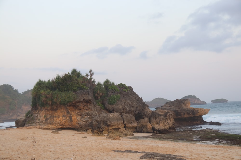 brown rock formation near body of water during daytime