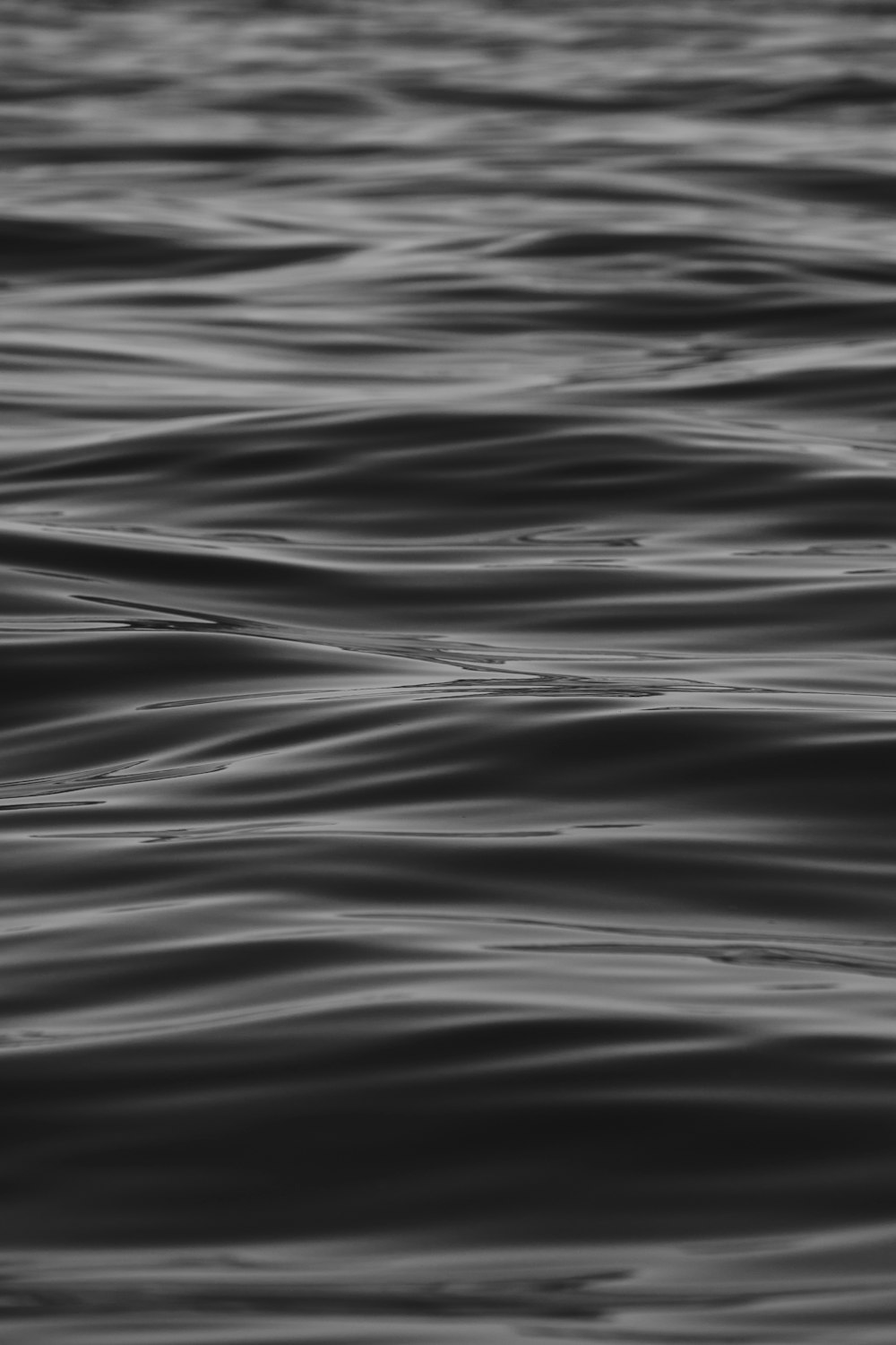 water wave in grayscale photography