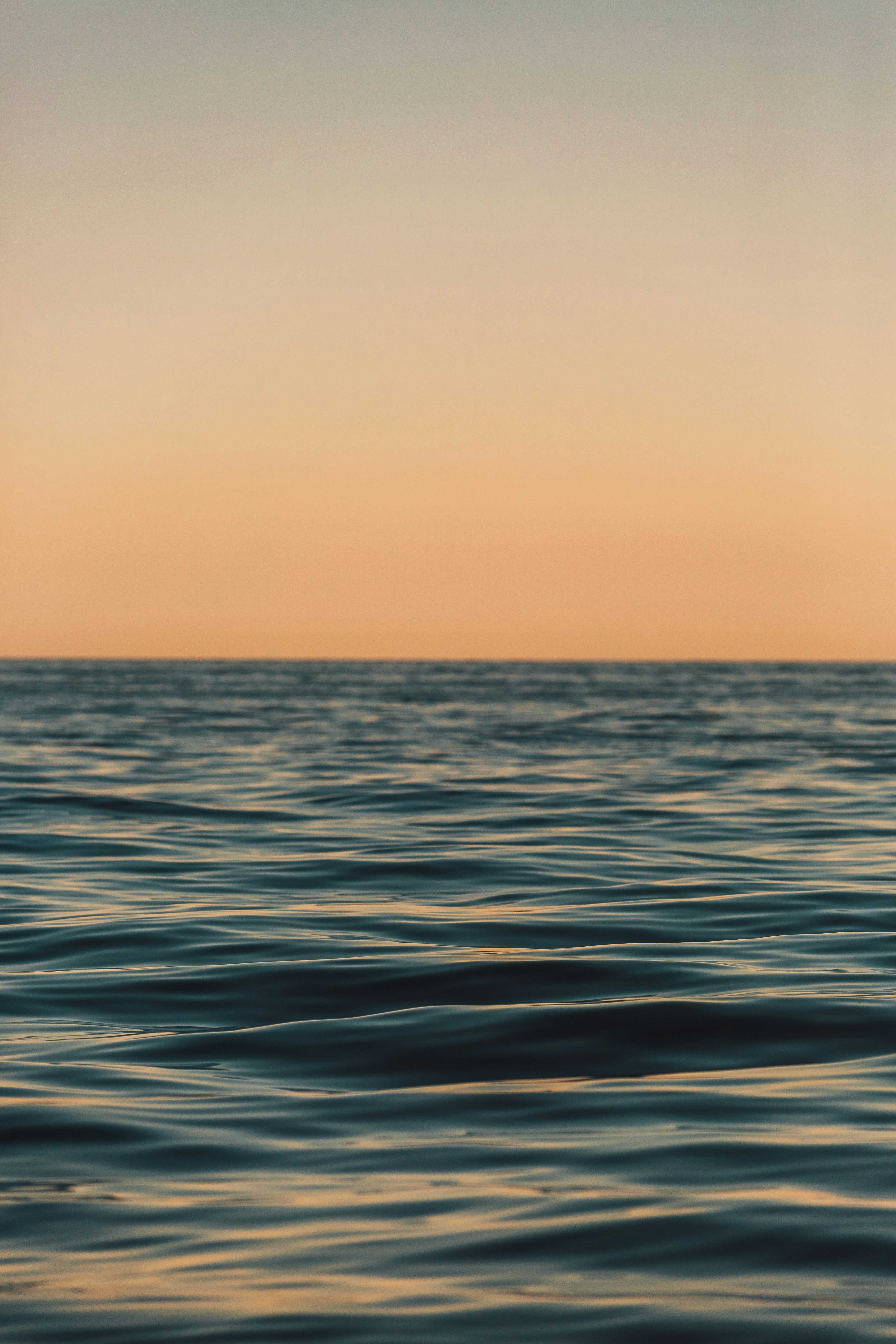 Photo by bennyrotlevy