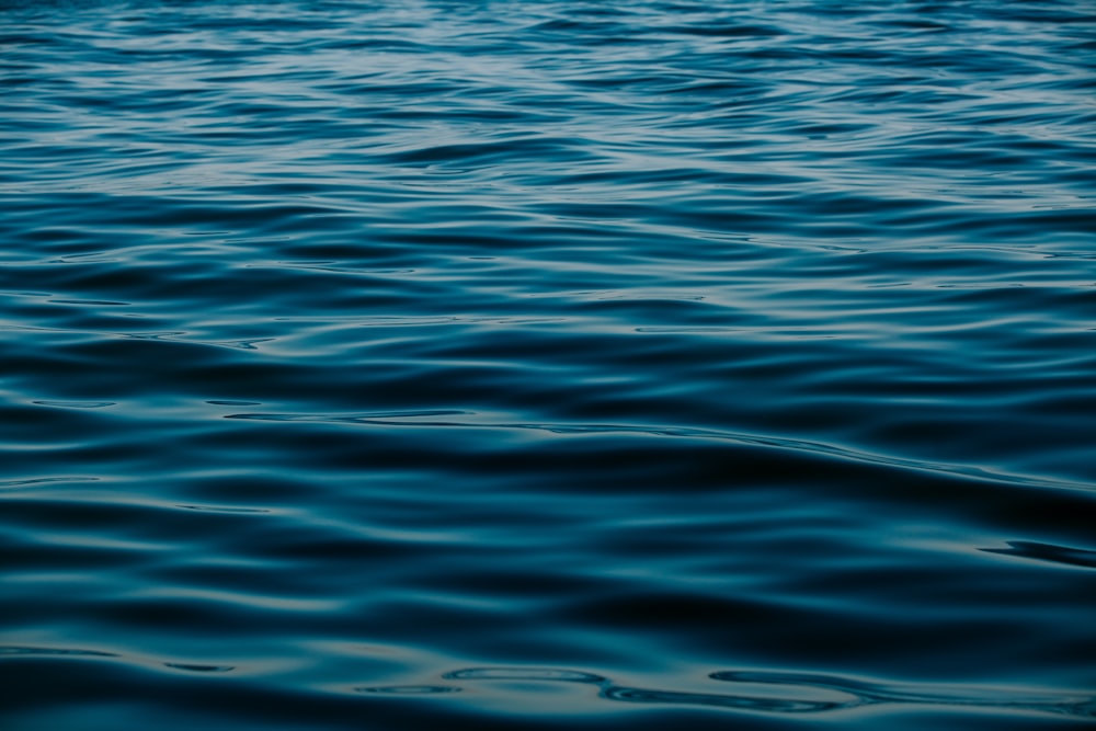 blue body of water during daytime