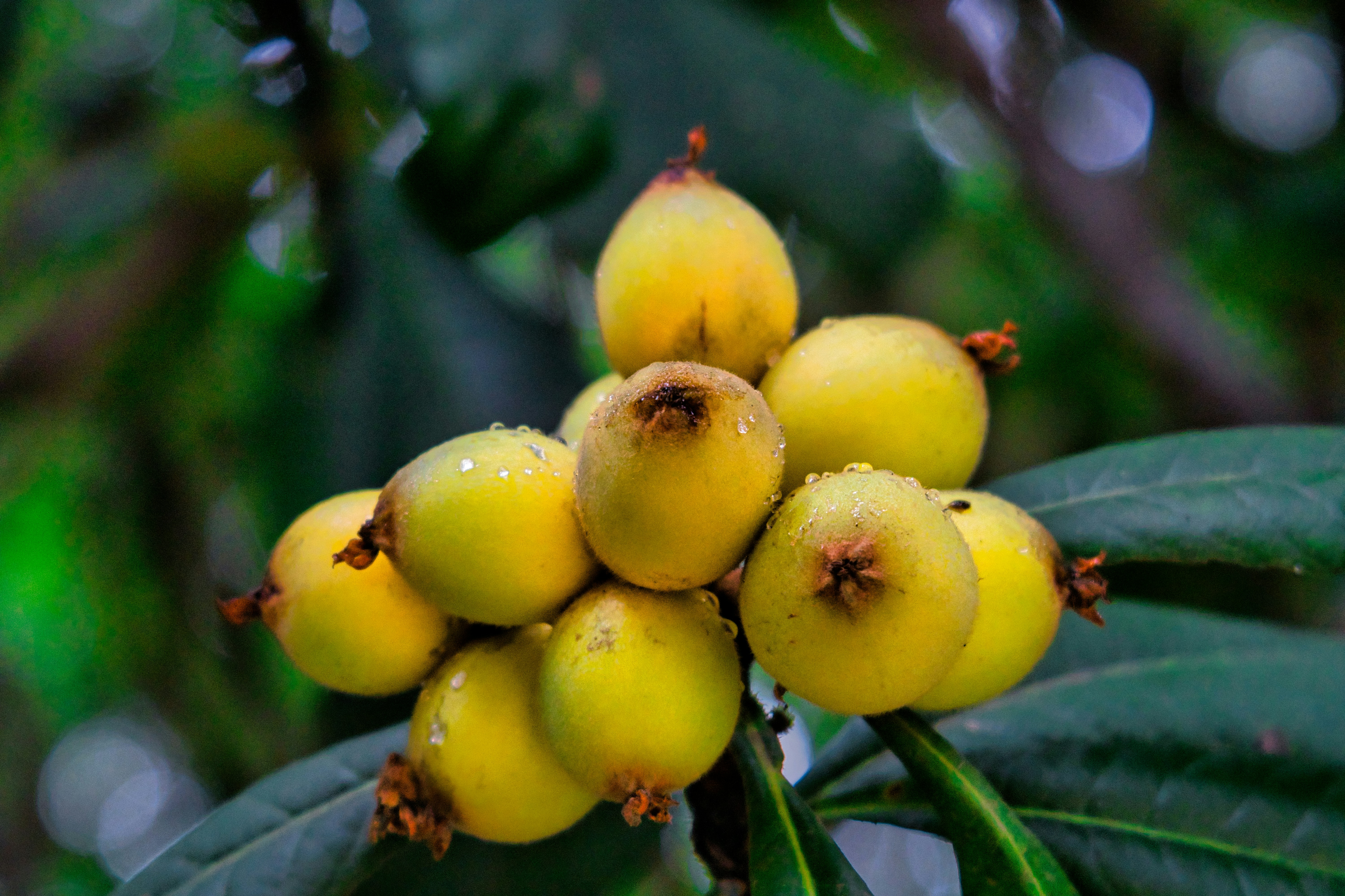 Photo by thomaskinto