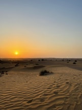A serene desert landscape at sunset with soft golden light illuminating sand dunes and sparse vegetation.