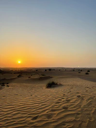 A serene desert landscape at sunset with golden dunes stretching into the horizon.