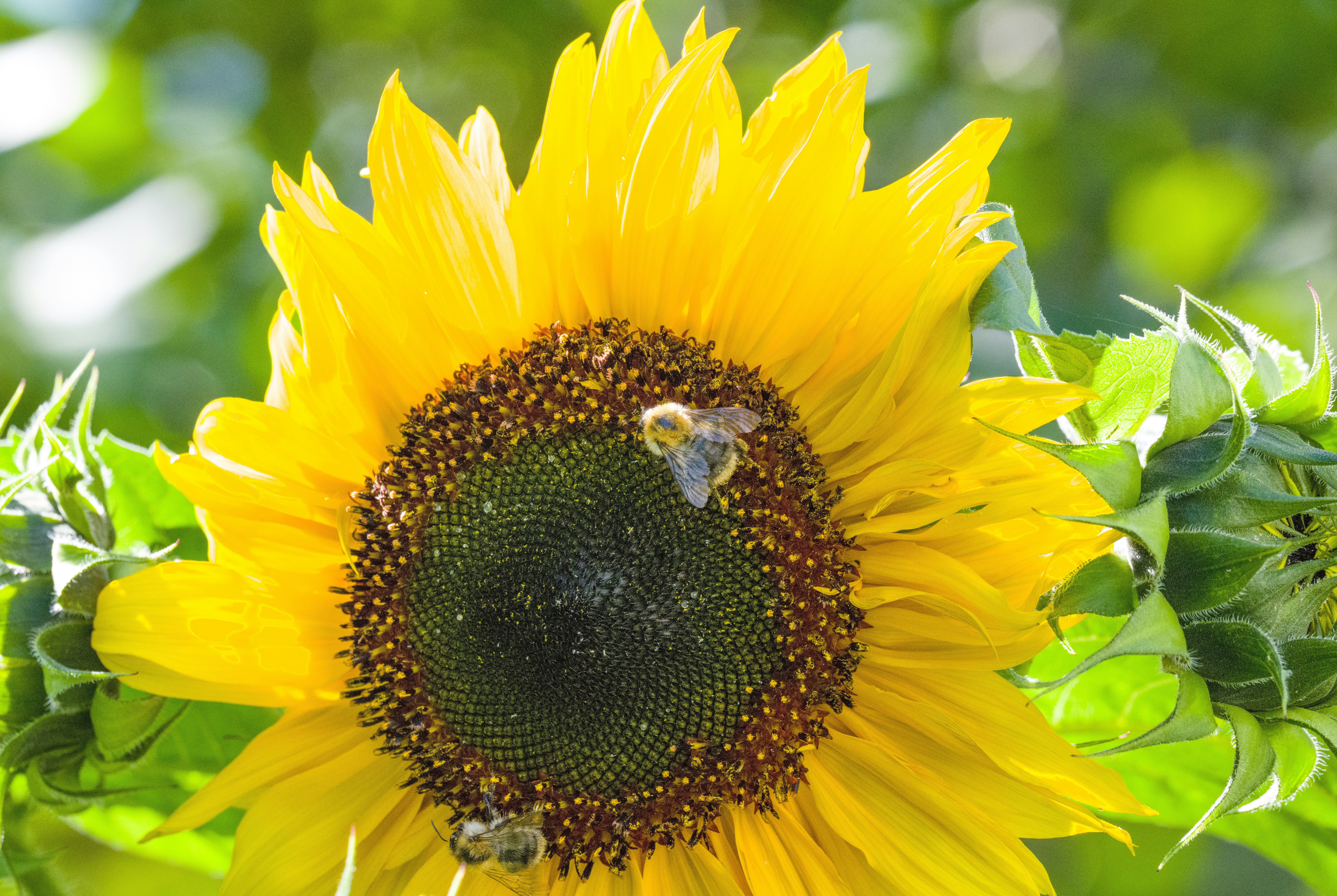 Photo by georgeiermann