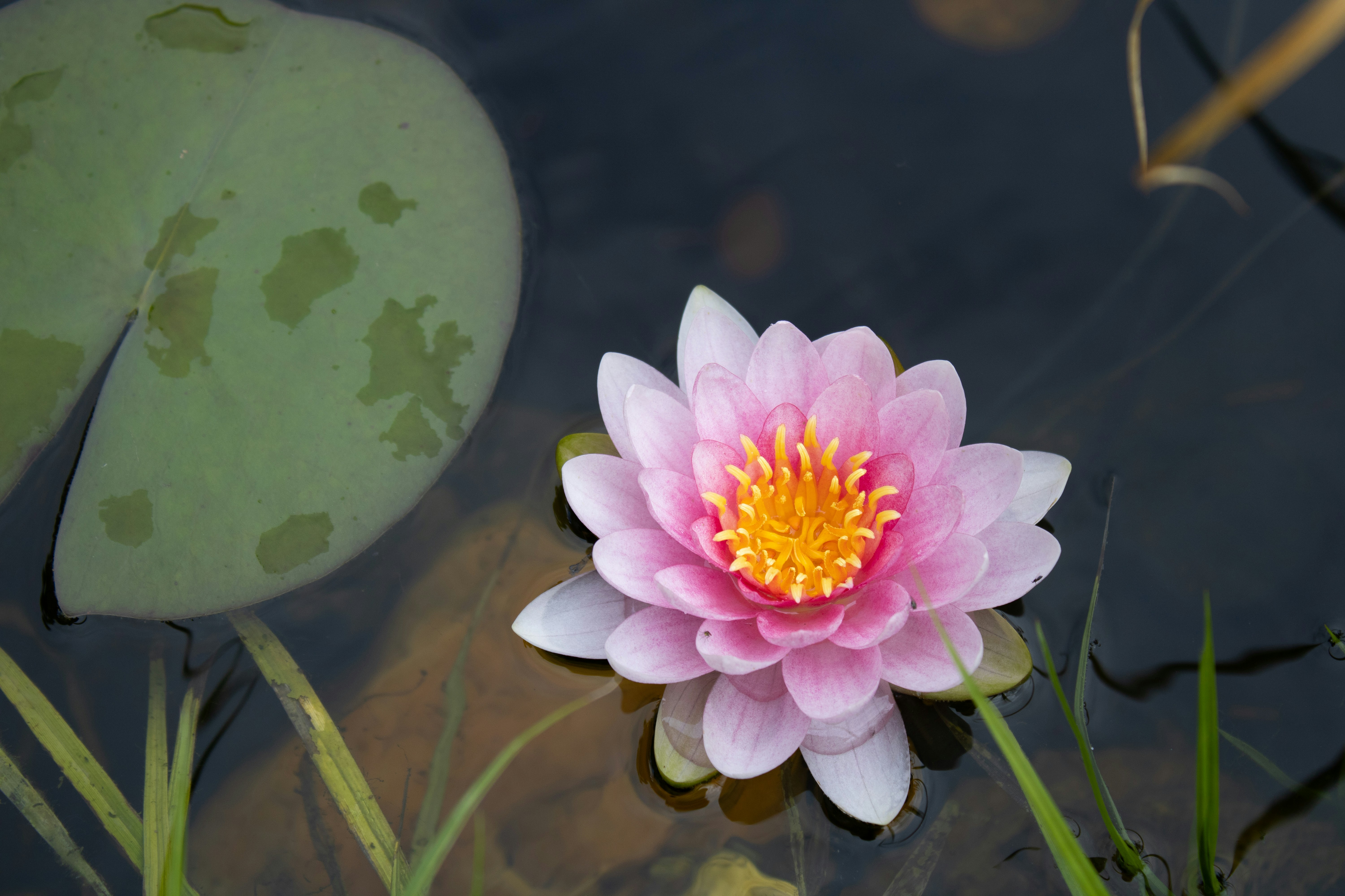 Photo by marlene_haiberger