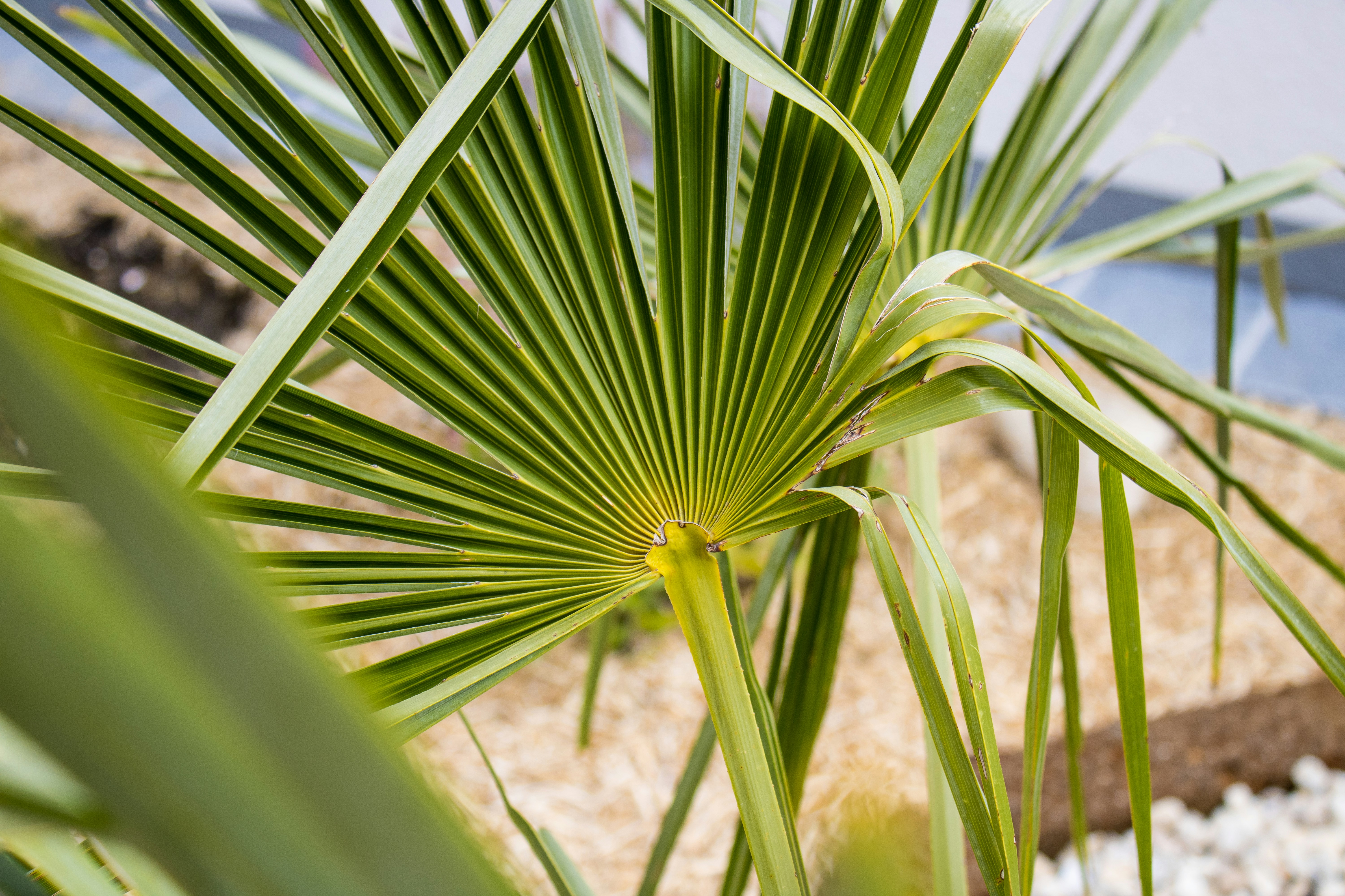 Photo by marlene_haiberger