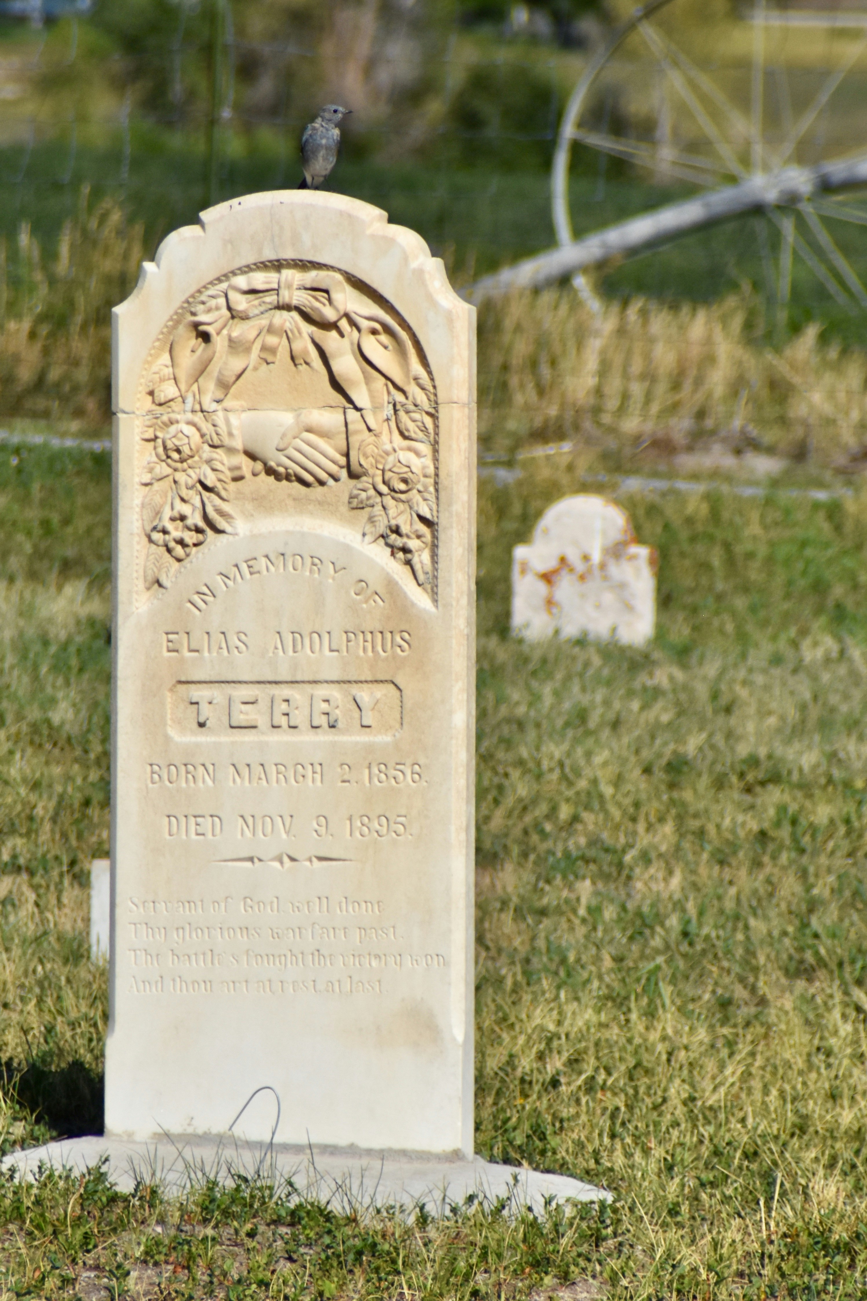 Photo by camielise77