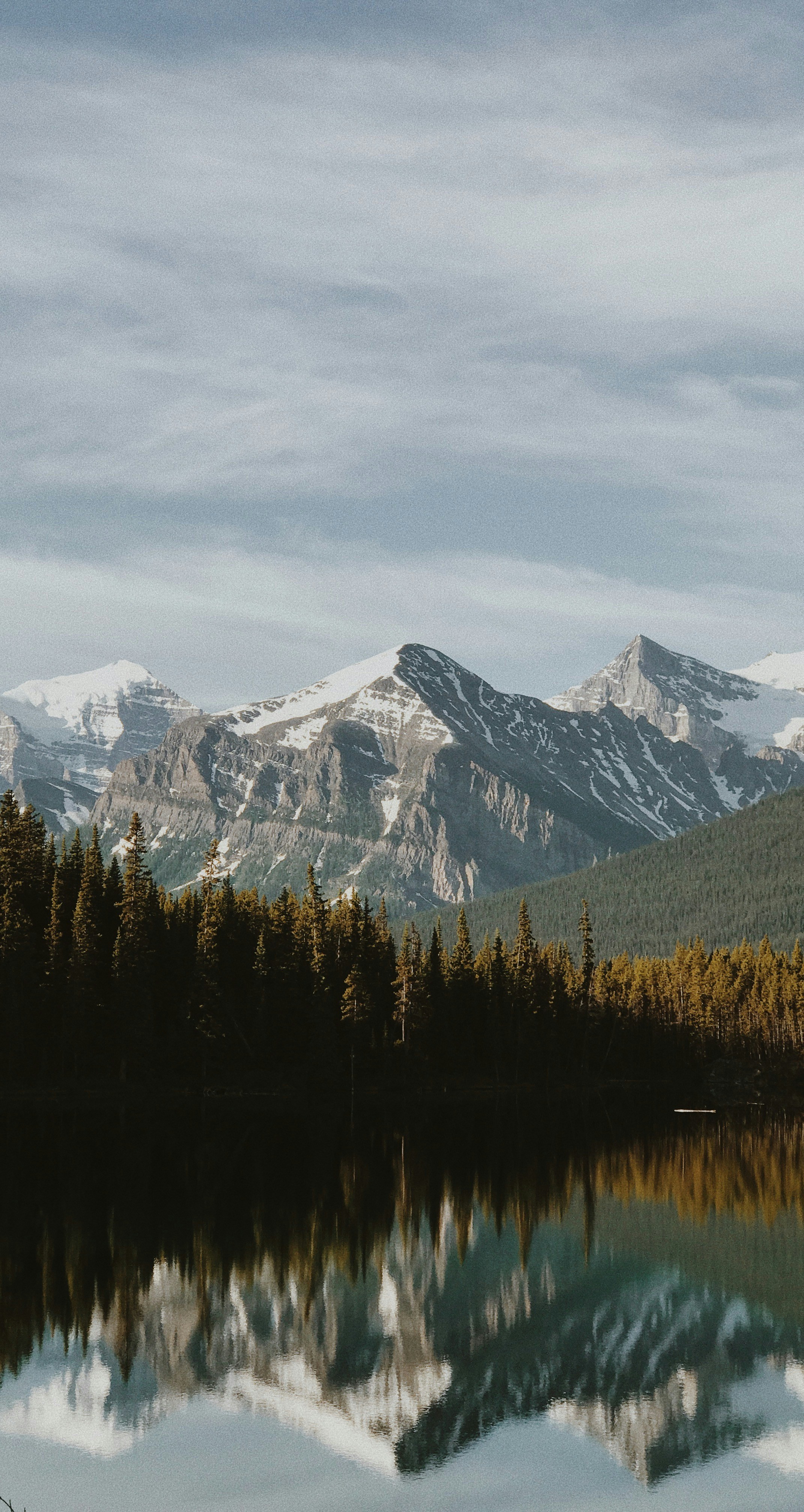 The Underground Railroad of Medieval Books