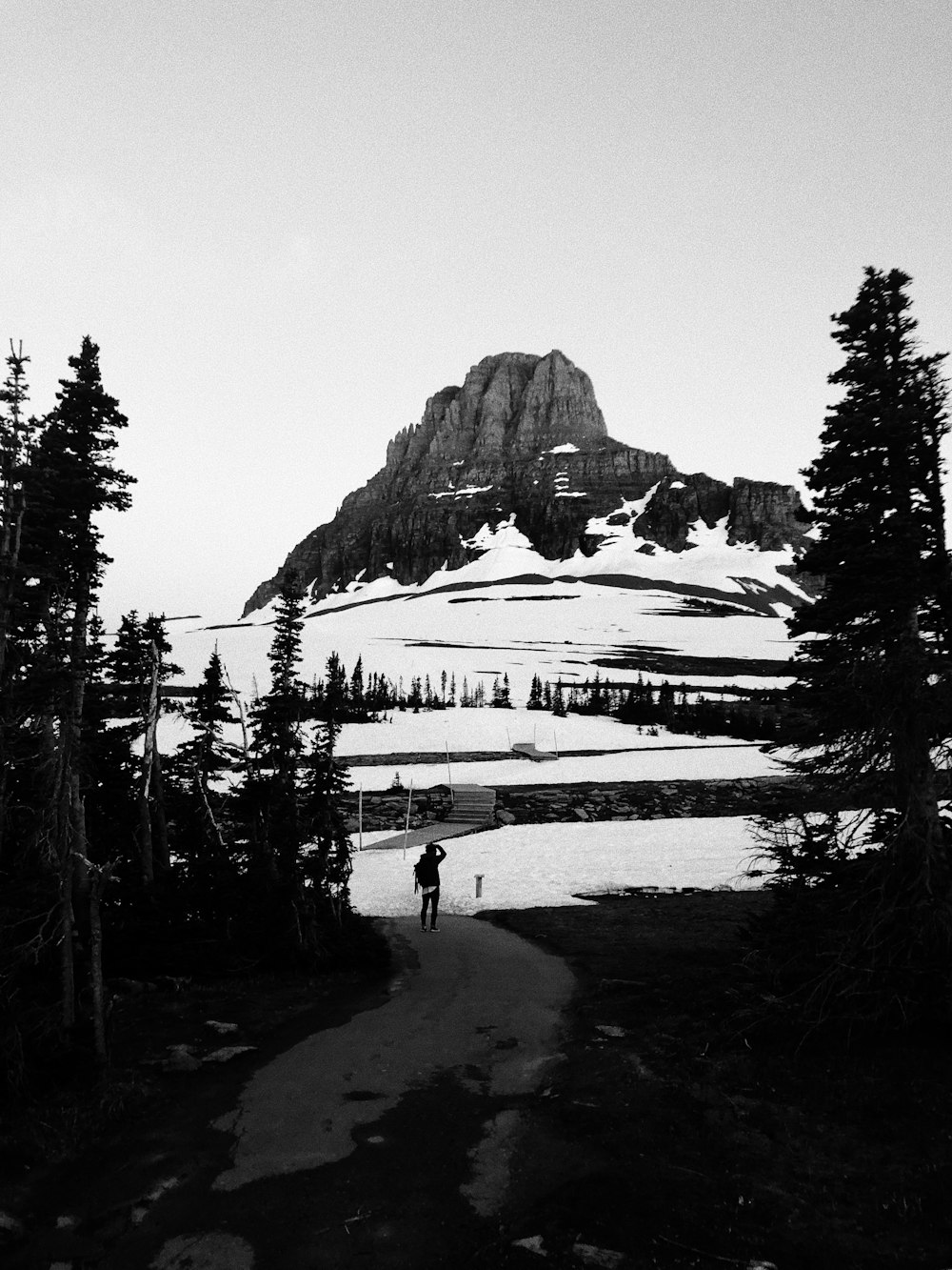 snow covered mountain near green trees during daytime