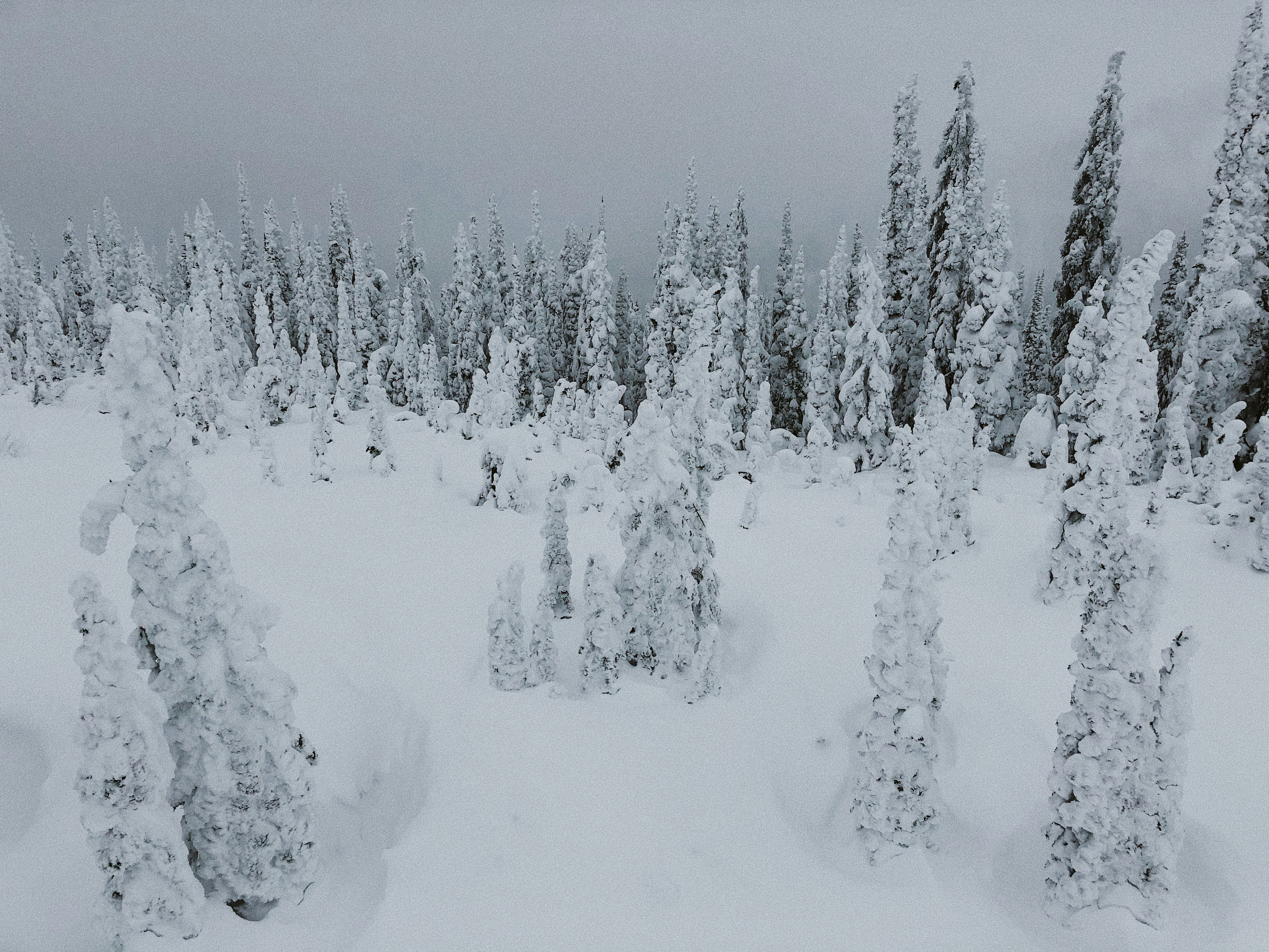 Photo by colincassidy