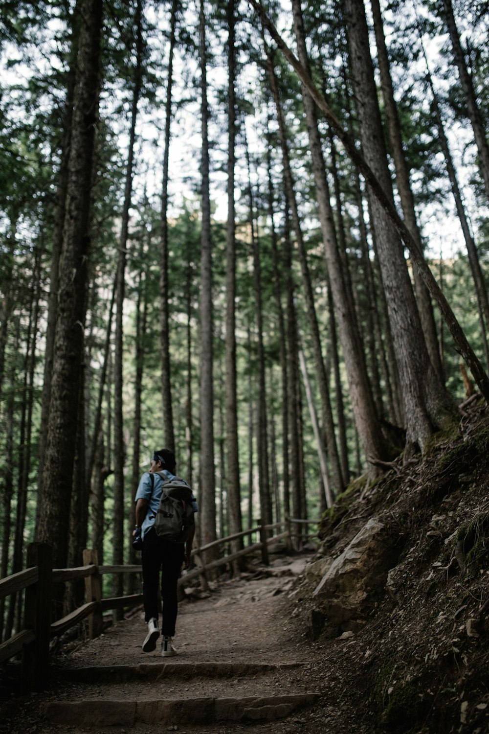 man in blue jacket walking on pathway in between trees during daytime