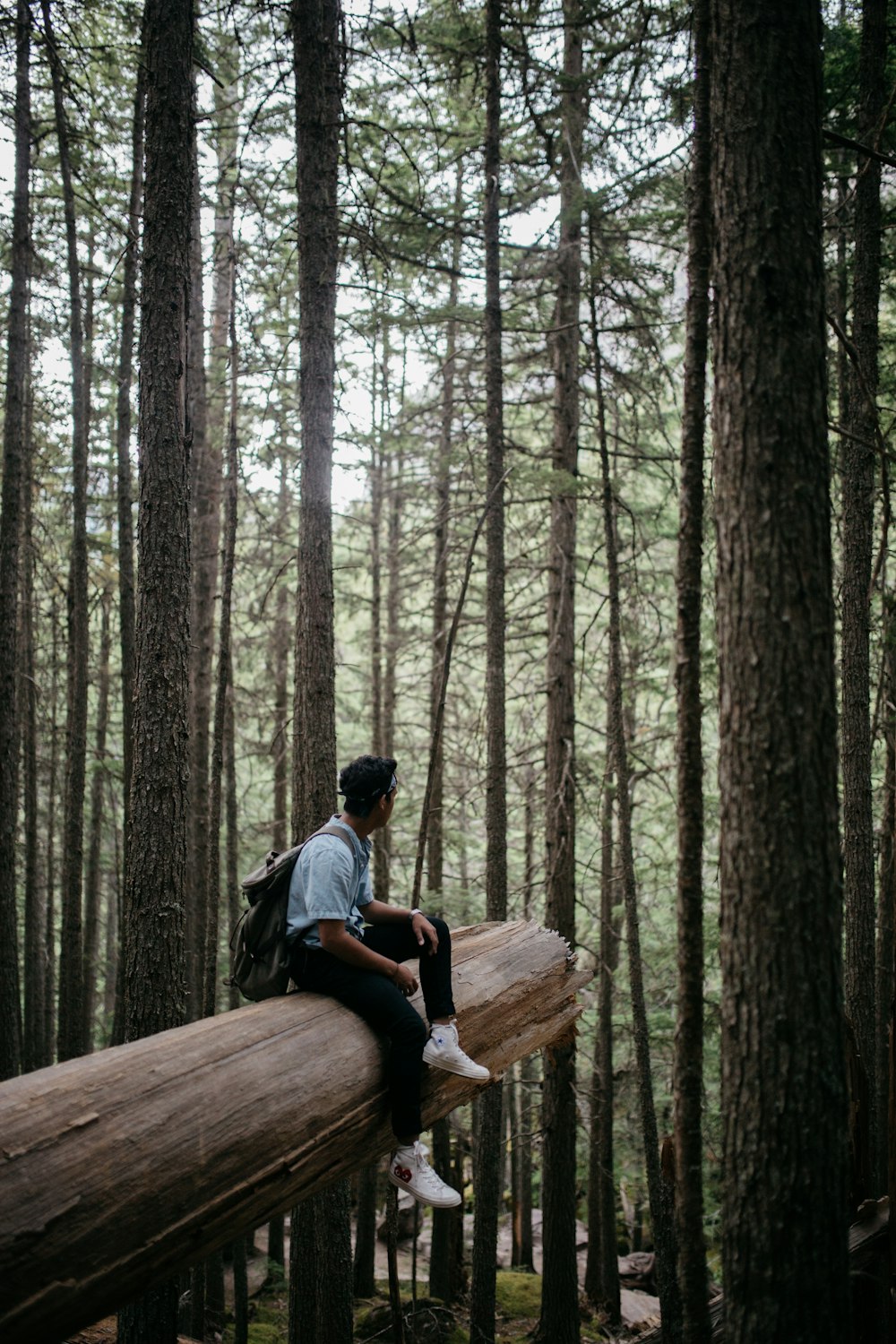 man in black jacket sitting on brown wooden bench surrounded by trees during daytime