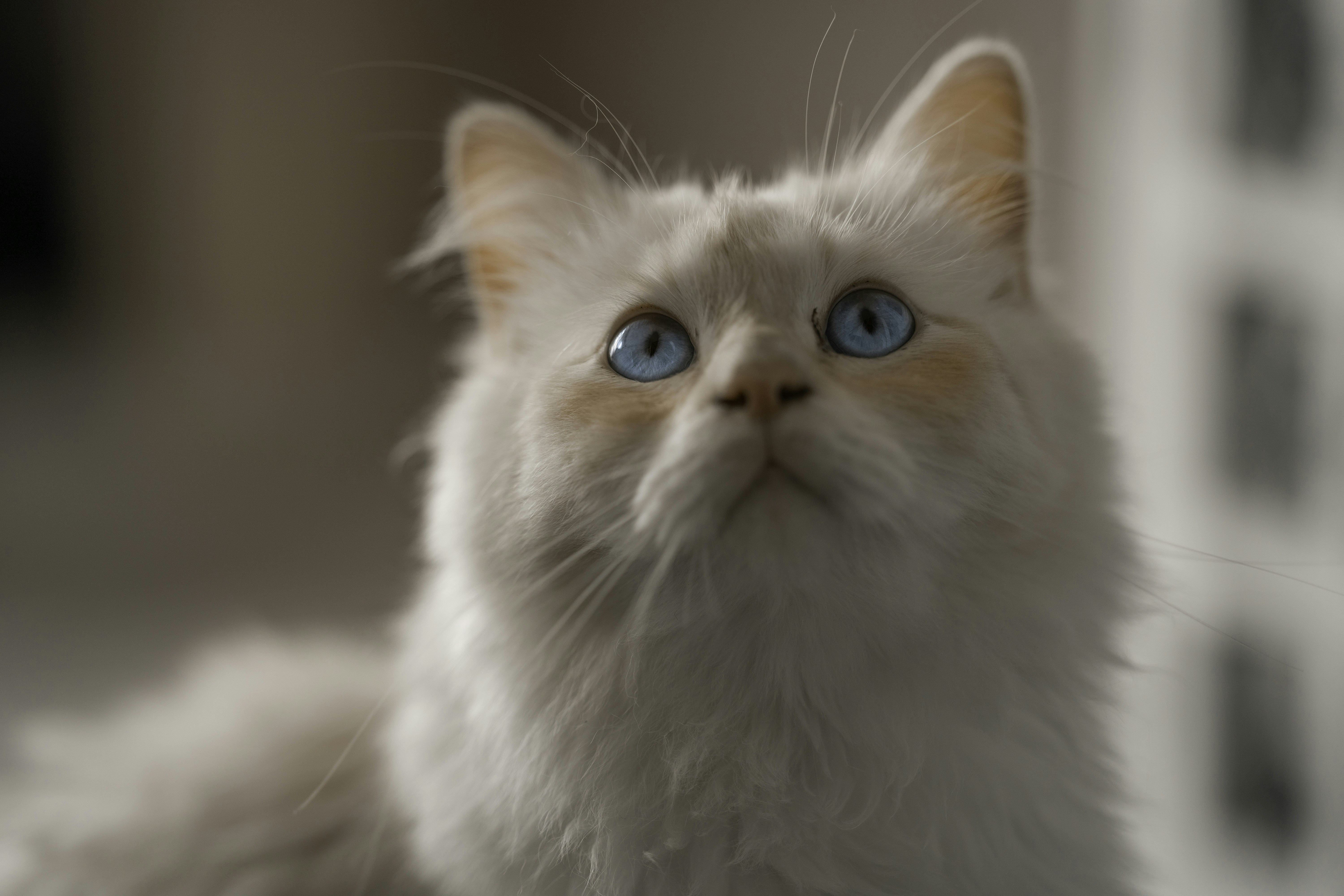 Photo by omarvellous14