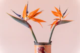 Elegant arrangement showcasing the exotic beauty of bird of paradise and agapanthus flowers.
