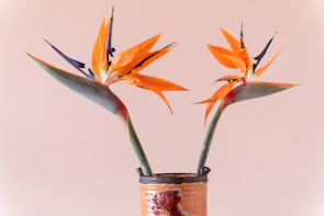 Elegant arrangement showcasing the exotic beauty of bird of paradise and agapanthus flowers.