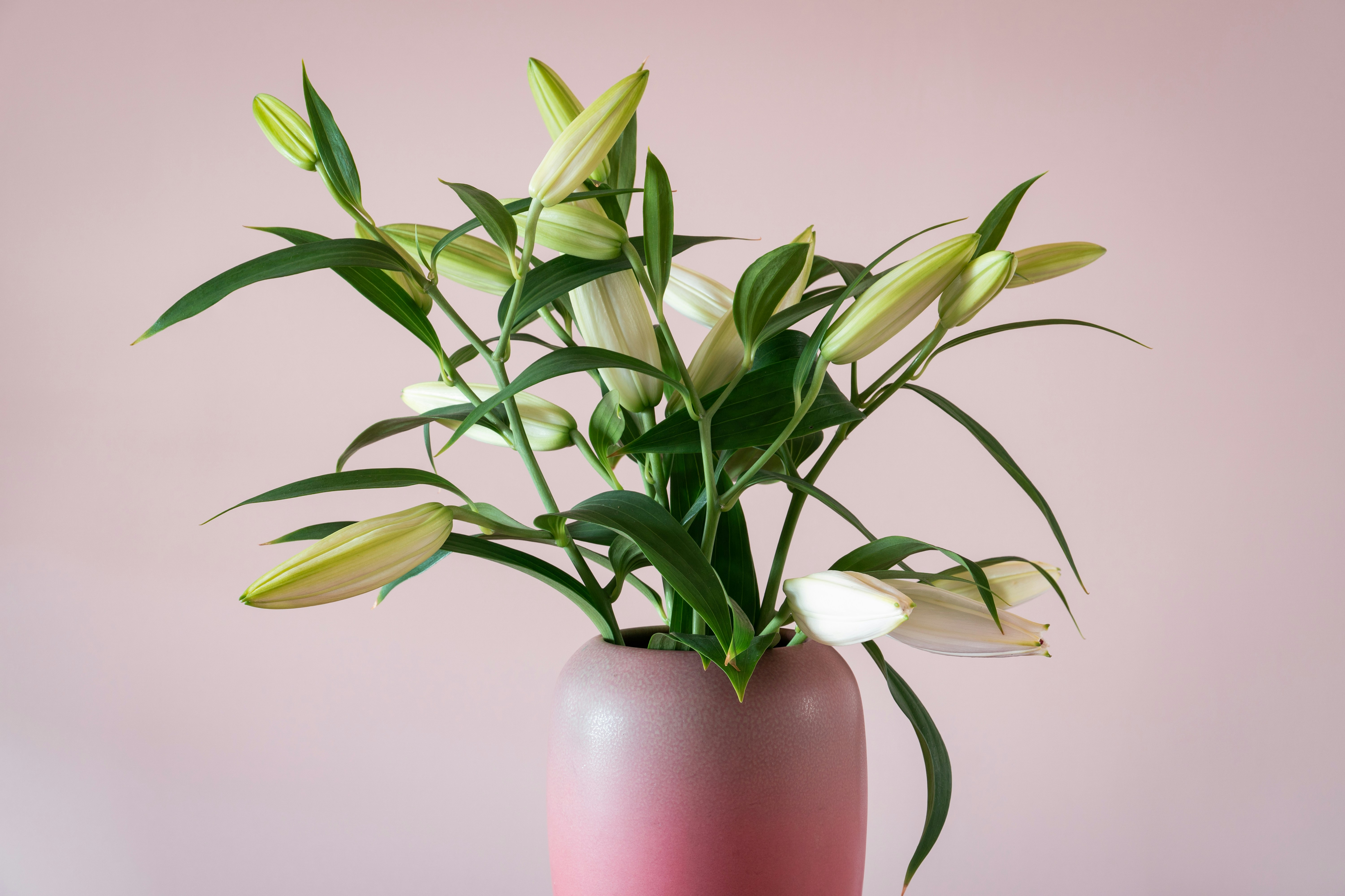 Photo by earl_plannerzone