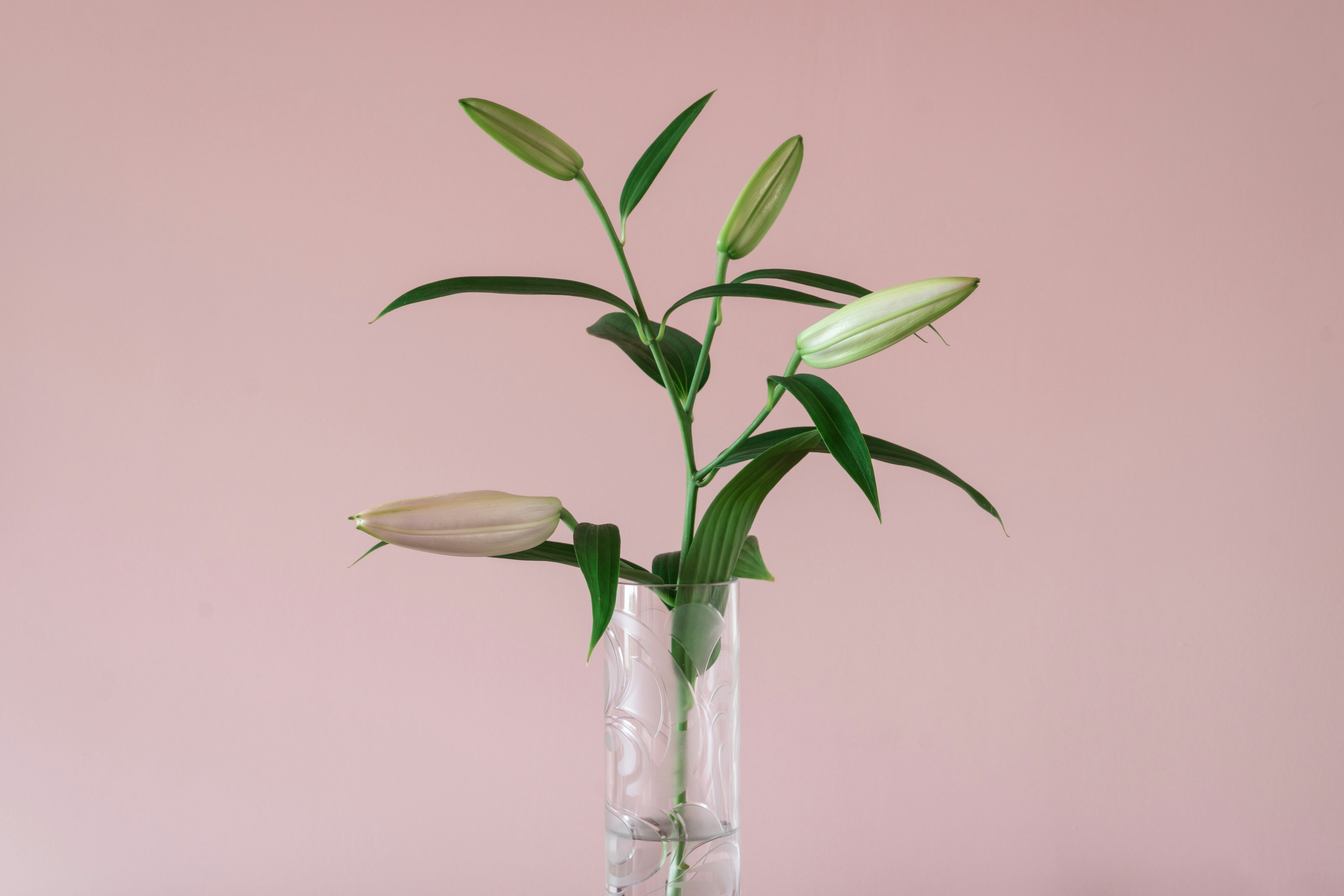 Photo by earl_plannerzone