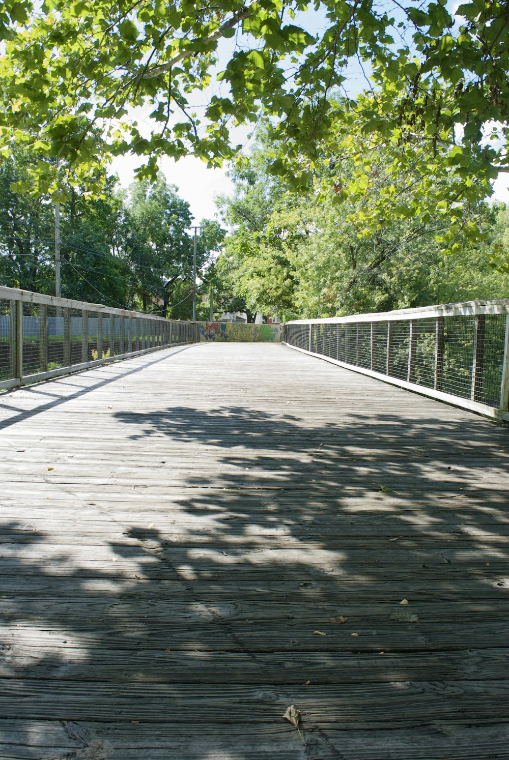 Pont en béton gris entouré d’arbres verts pendant la journée