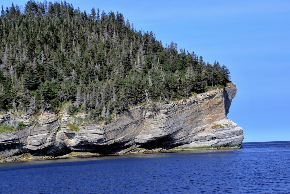 green trees on brown rock formation beside blue sea under blue sky during daytime