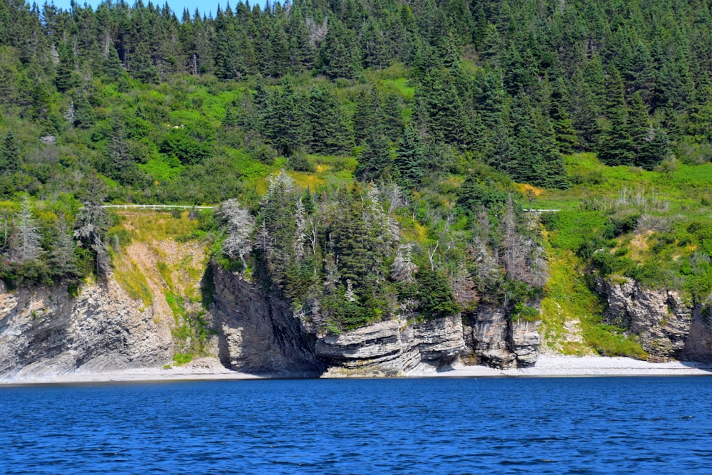 green trees on mountain beside body of water during daytime