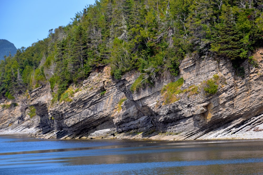 green trees on rocky mountain beside blue sea under blue sky during daytime