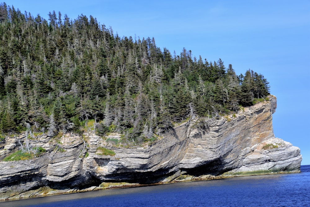 green trees on gray rock formation near blue sea under blue sky during daytime