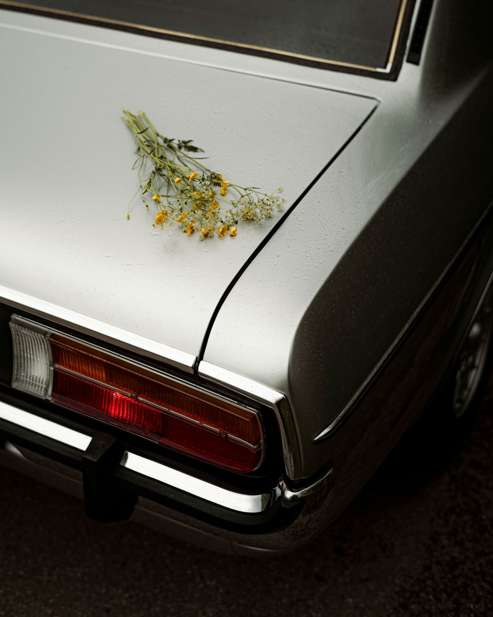 green and yellow plant on white car