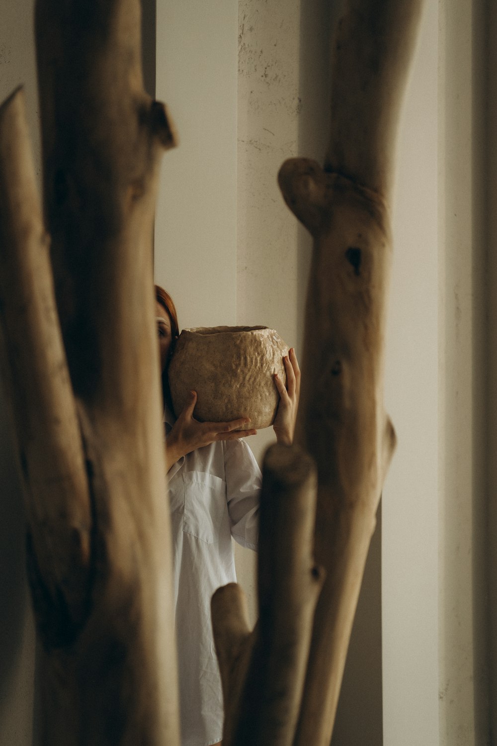 brown wooden tree trunk with white textile