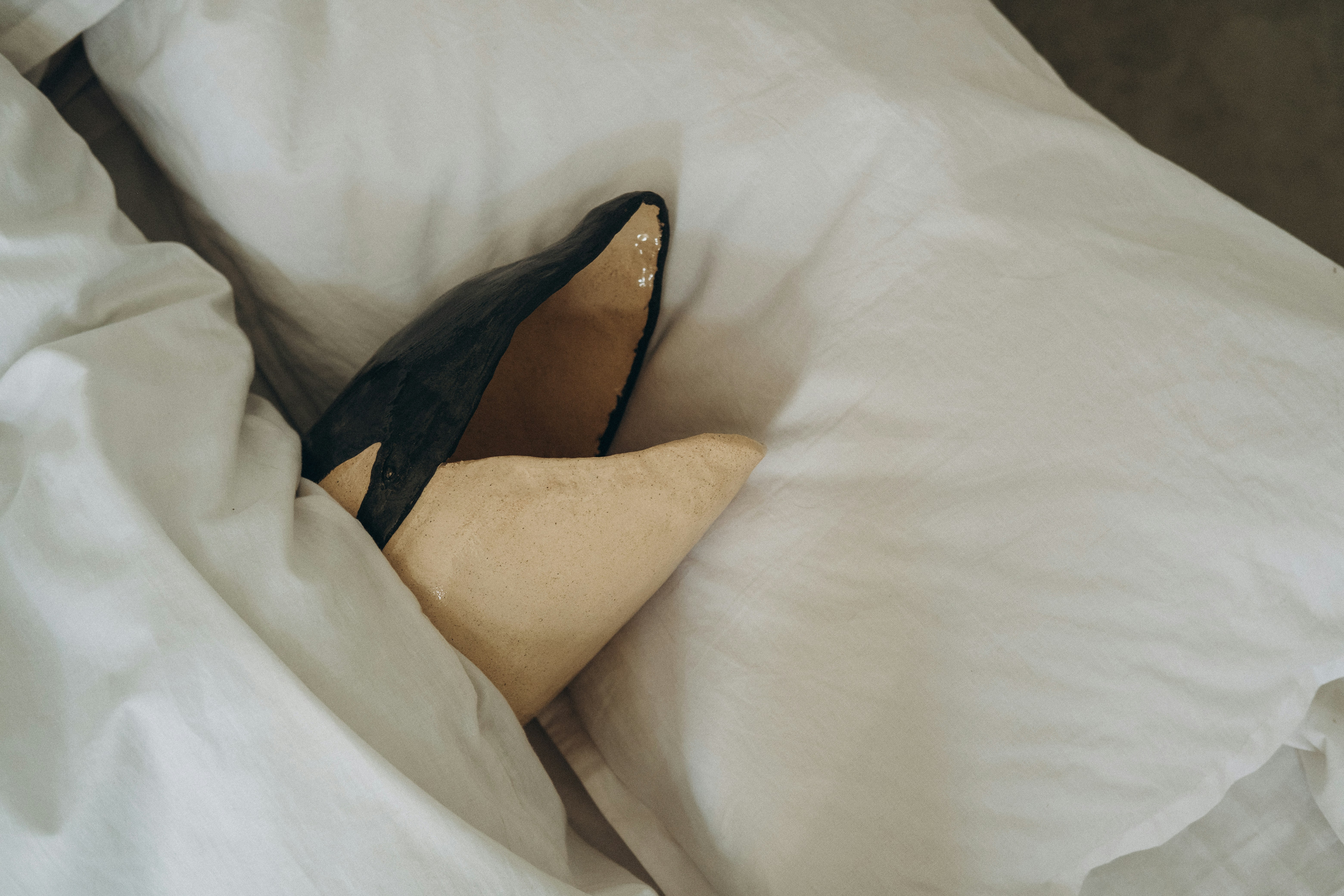 person wearing black leather shoe, 