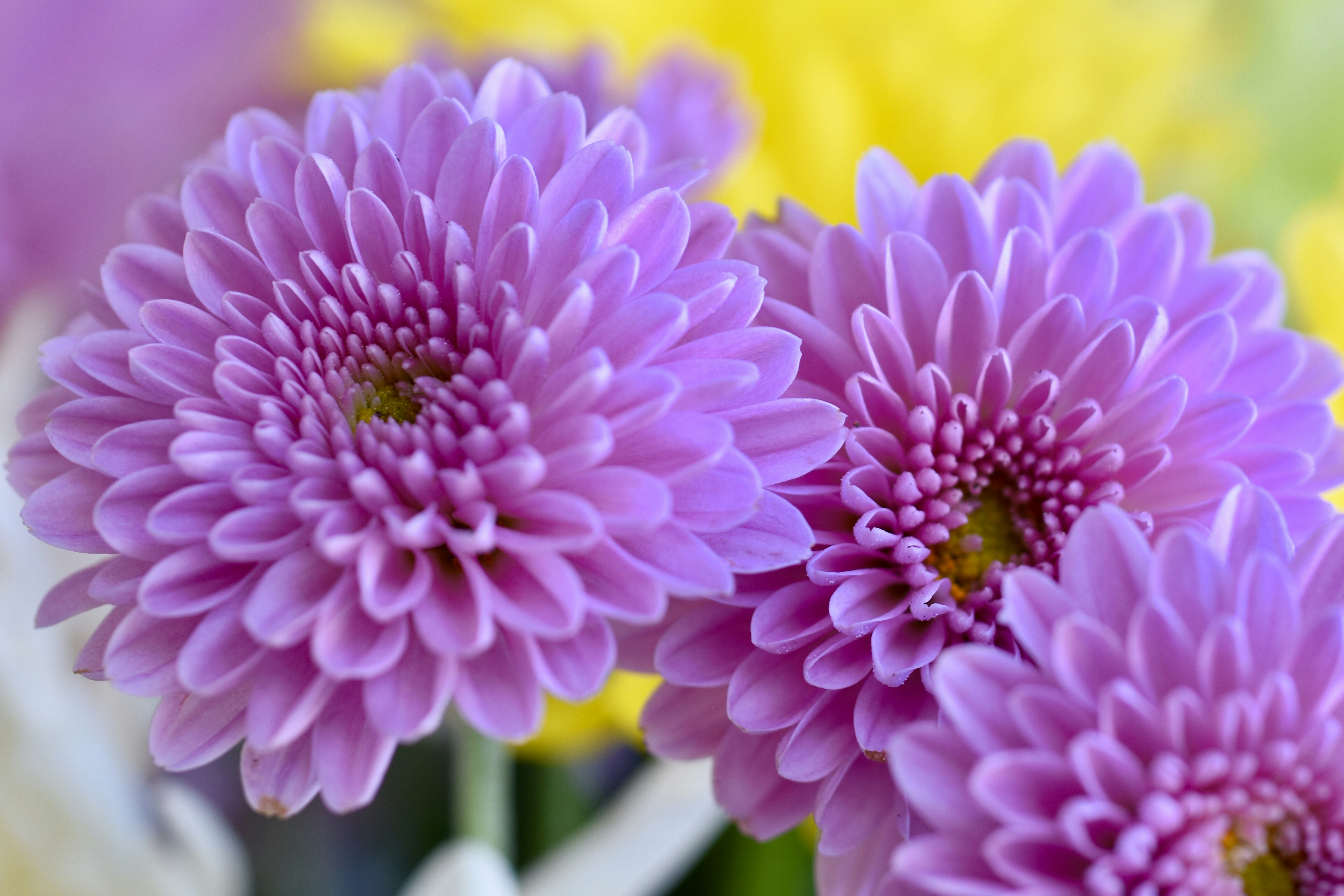 Photo by camielise77