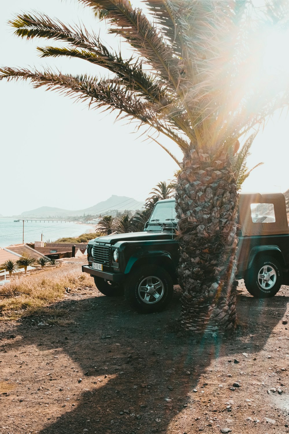 black suv near palm tree during daytime