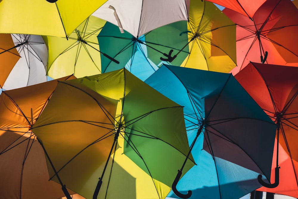 blue yellow and pink umbrella