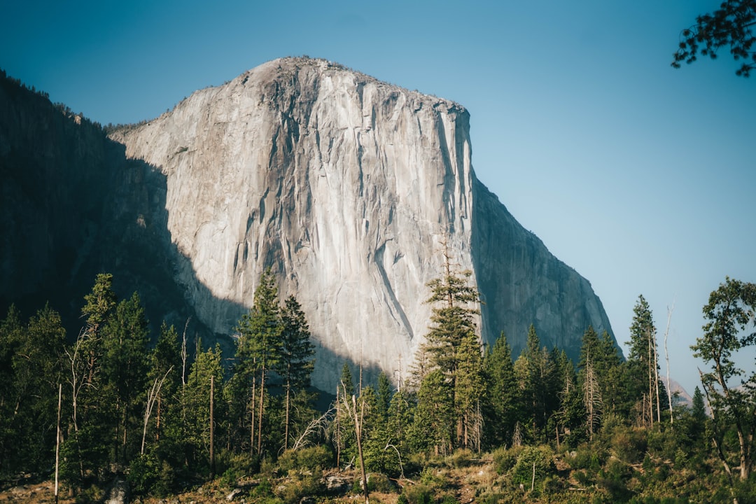 green trees near gray mountain under blue sky during daytime