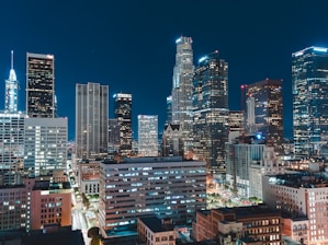 city skyline during night time