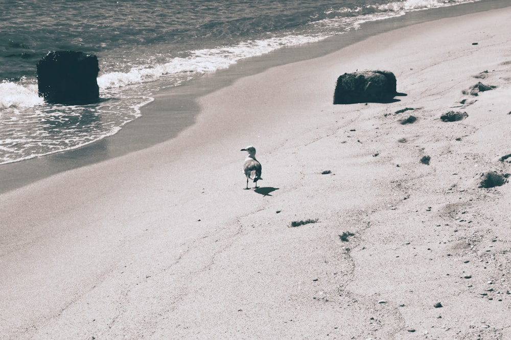 man in black shirt and white pants sitting on beach shore during daytime