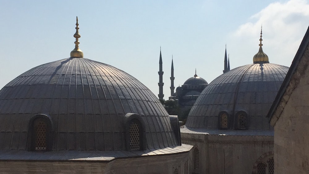 a view of a large building with many domes