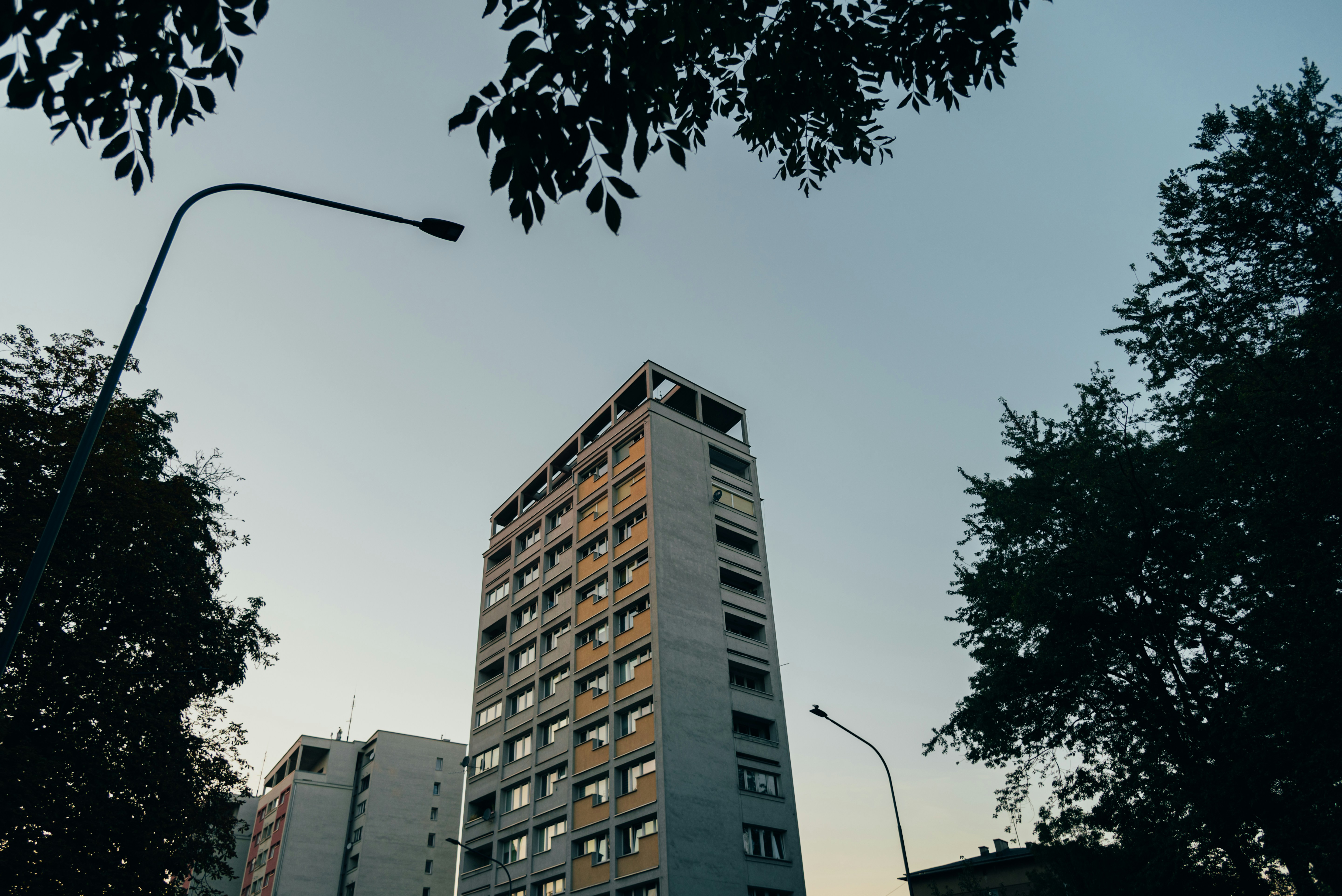 Photo by ilkamo