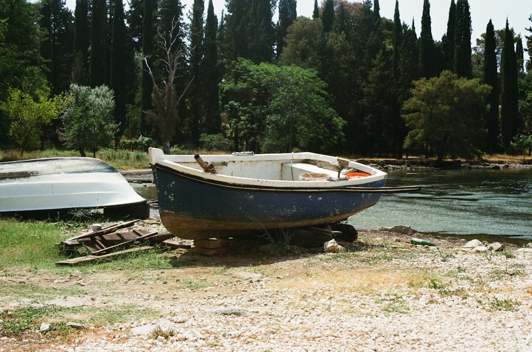 white and brown boat on brown soil near green trees during daytime