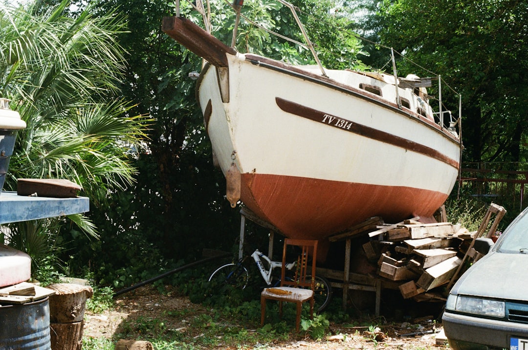 white and brown boat on green grass during daytime