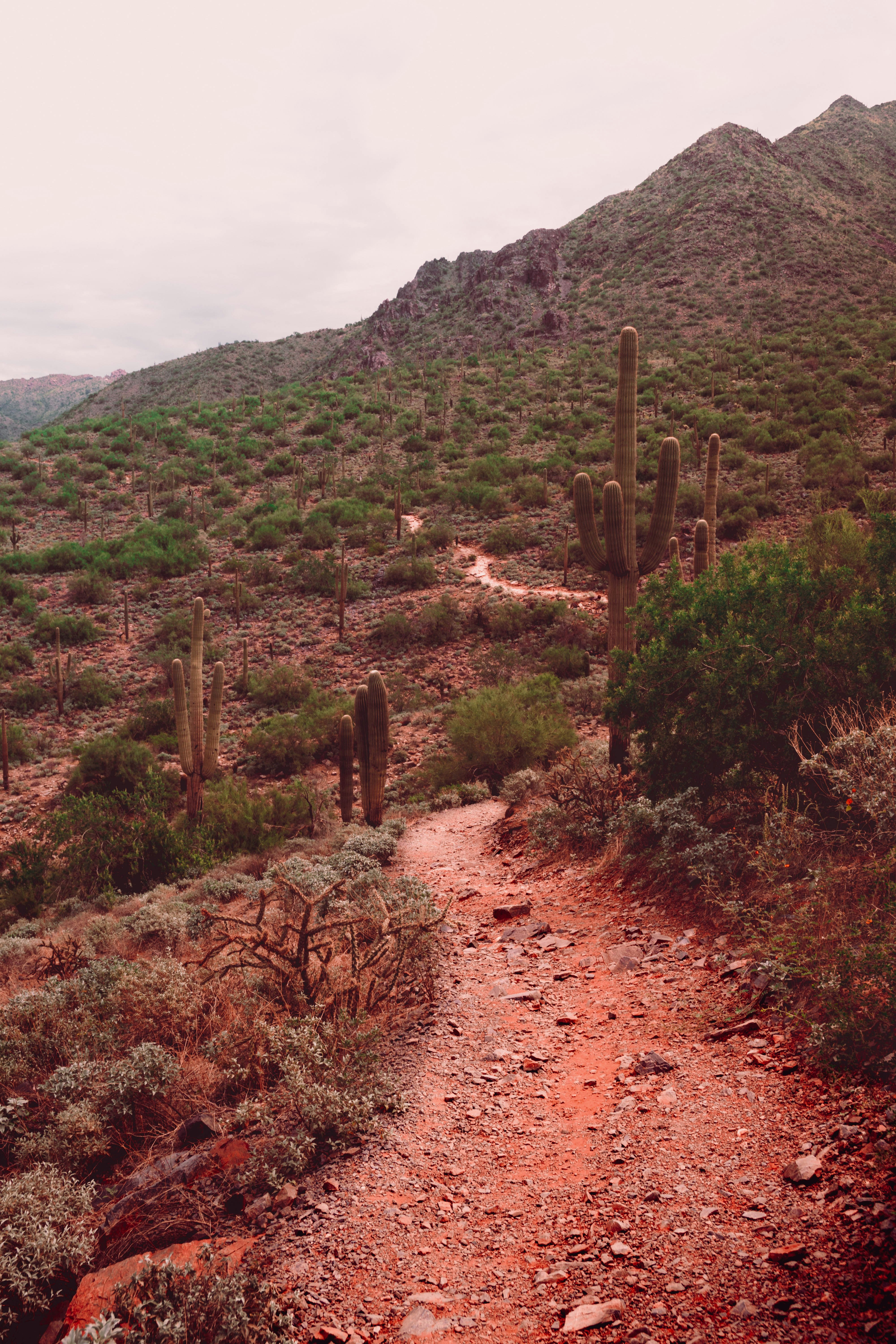 Picture Link Deleted!