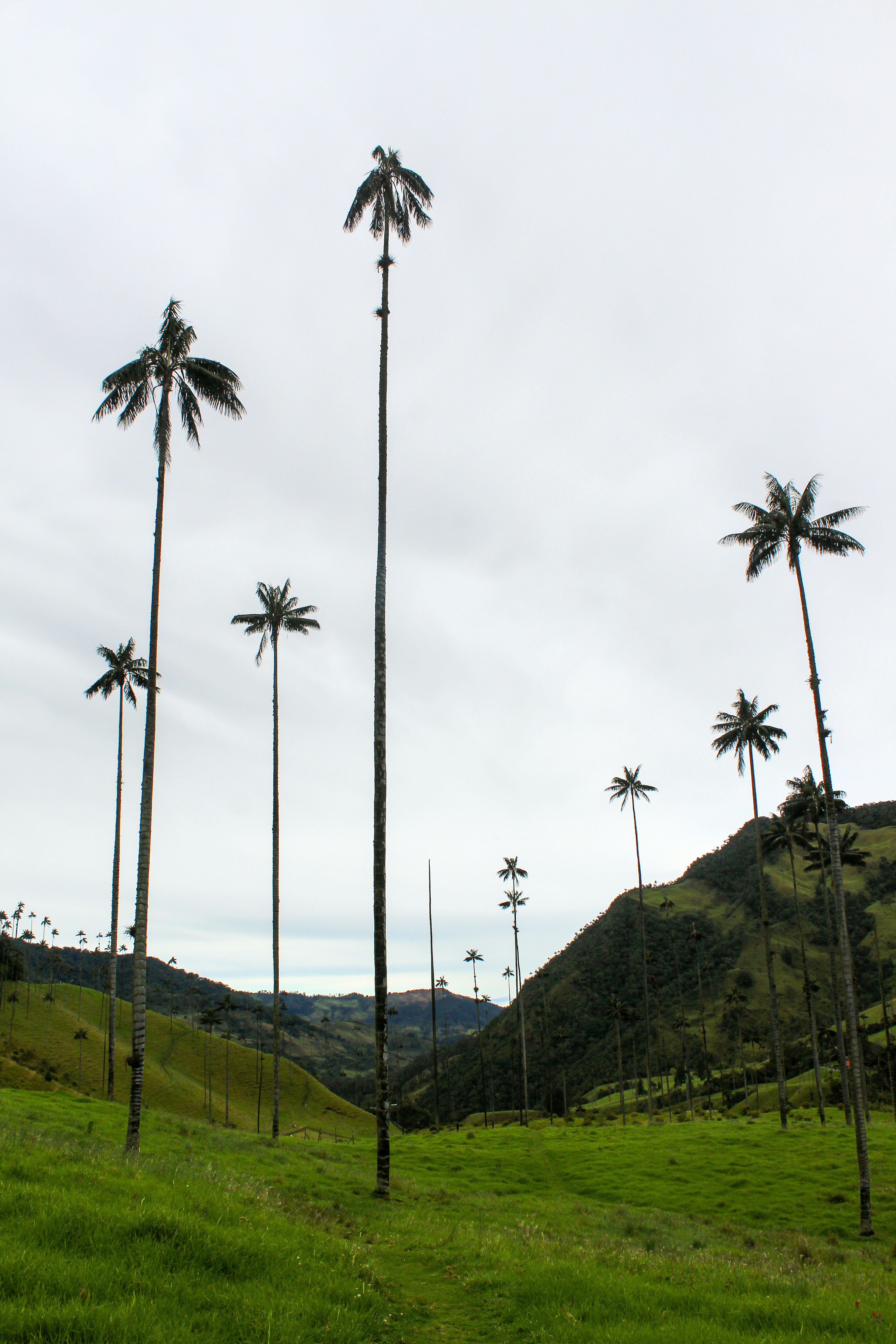 Photo by backroadpackers