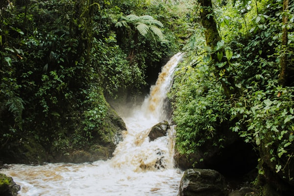 Waterfall in San Rafael