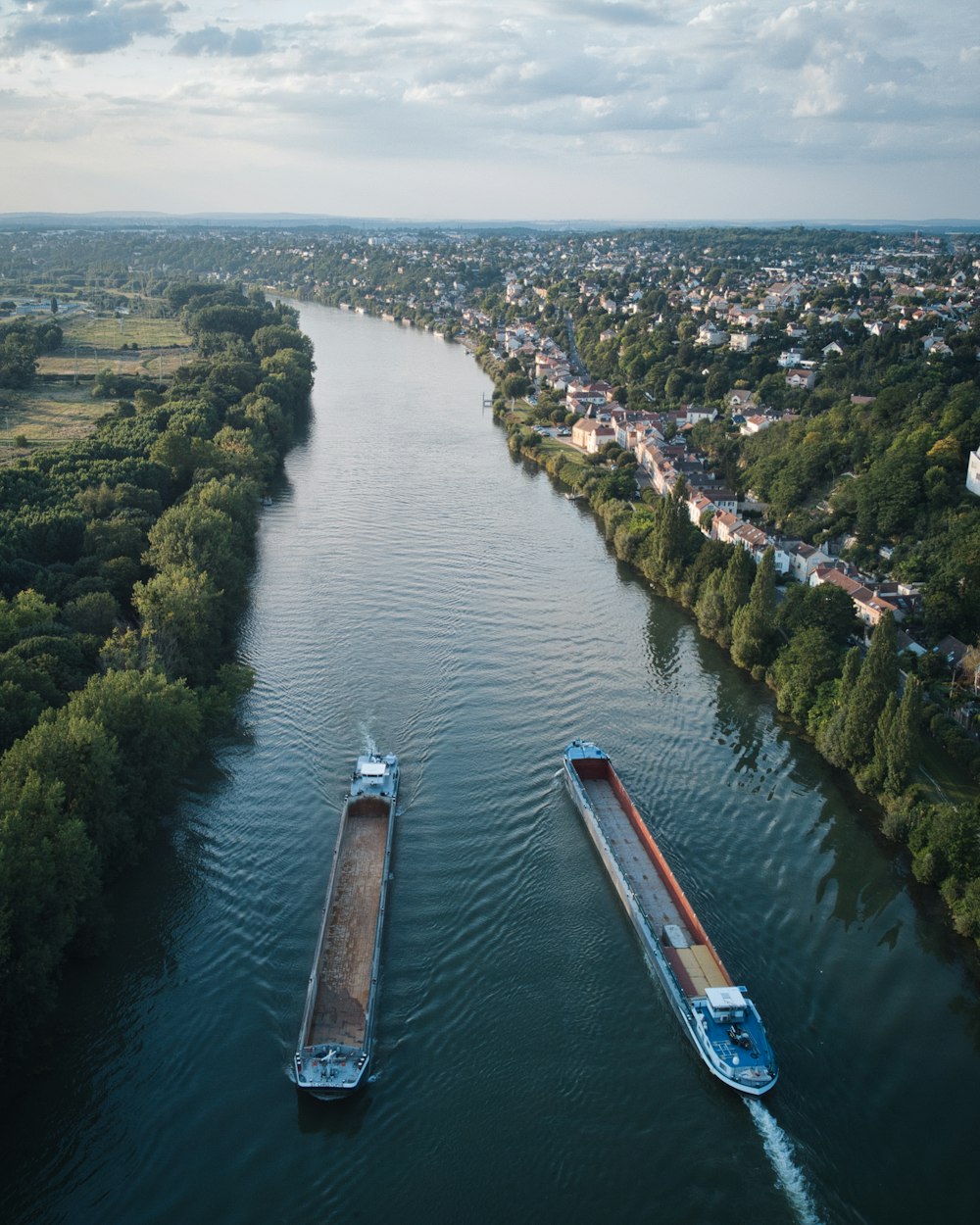 aerial view of green trees and river during daytime