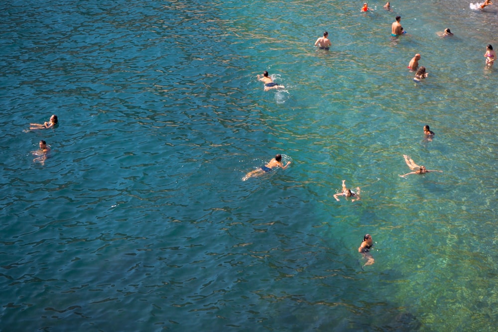 a group of people swimming in a body of water