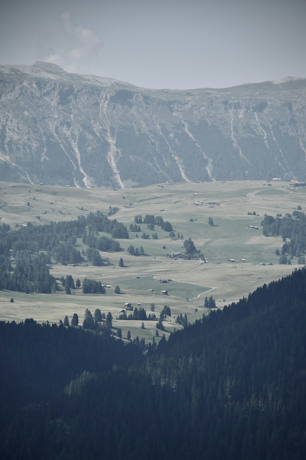 green trees and mountains during daytime