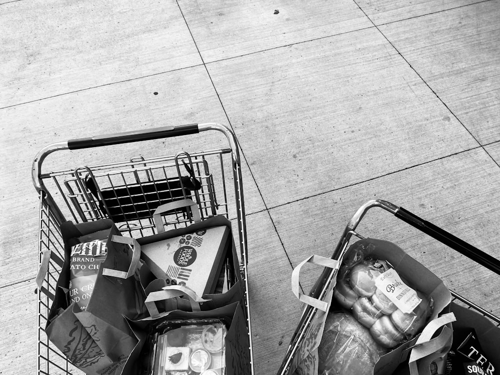 grayscale photo of 2 shopping carts