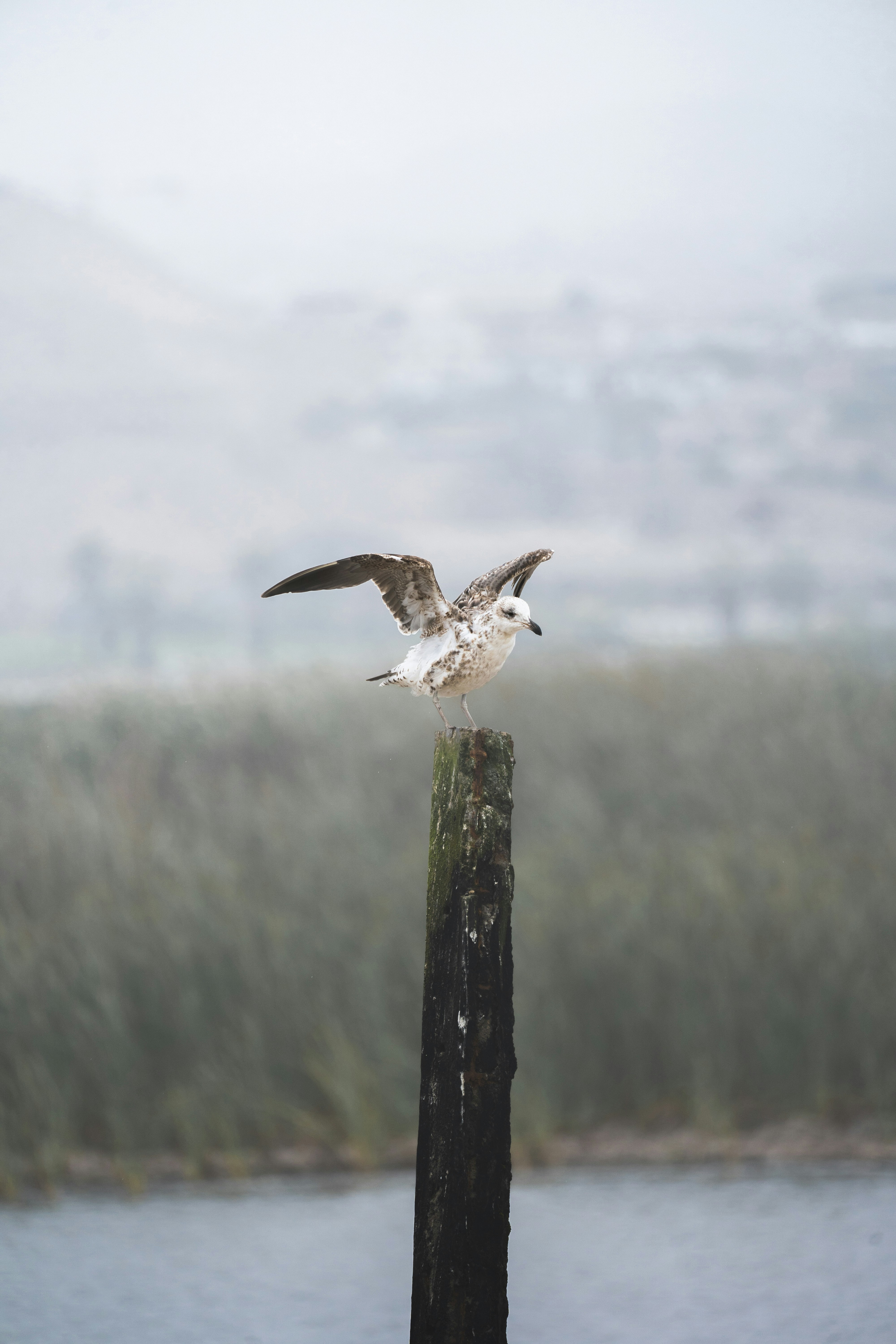 Photo by mauriciogutierreztello
